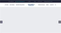 Desktop Screenshot of bridlewoodwelsh.com